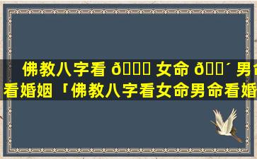 佛教八字看 🐛 女命 🐴 男命看婚姻「佛教八字看女命男命看婚姻怎么看」